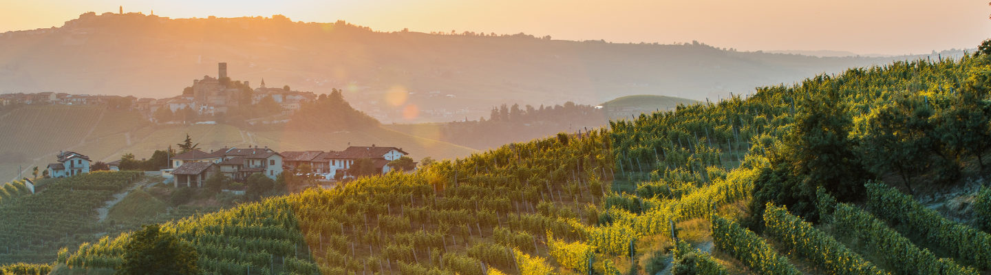 Piemont, Barbera d’Alba DOC