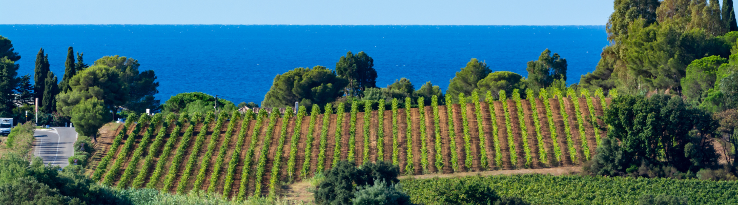 Prowansja, Côtes de Provence AP