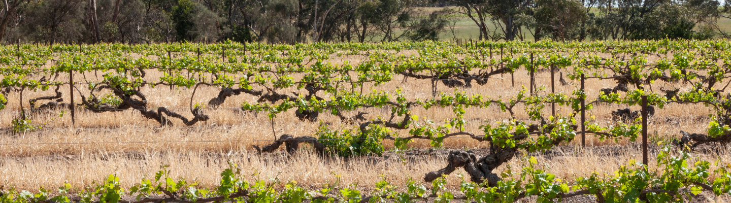 South Australia, Adelaide Hills