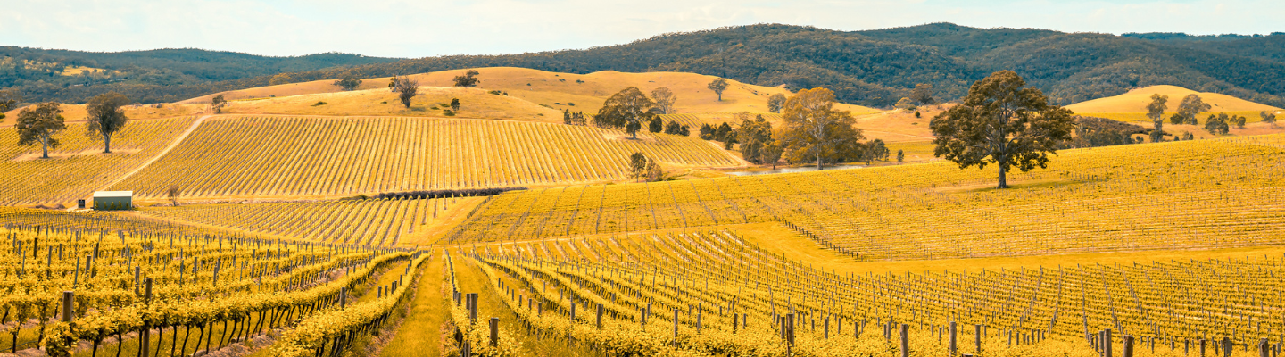 South Australia, Barossa Valley