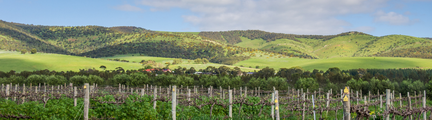 South Australia, McLaren Vale