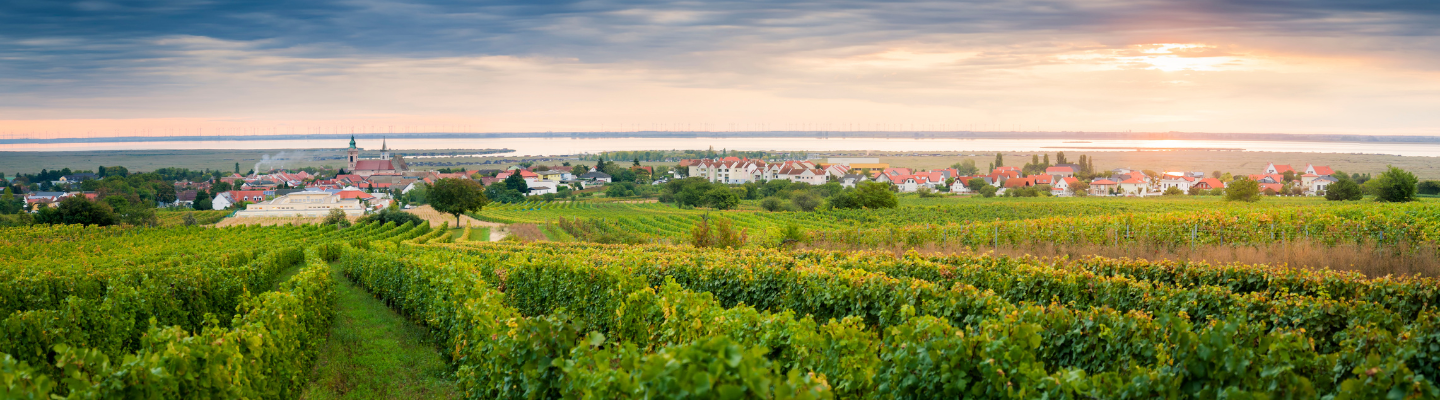 Weinland, Burgenland