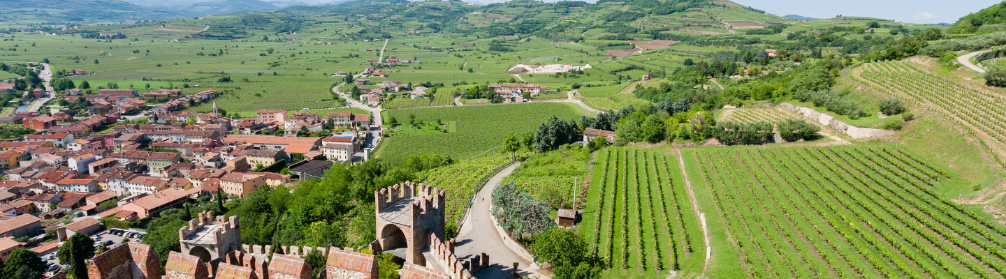 Wenecja Euganejska, Valpolicella DOC