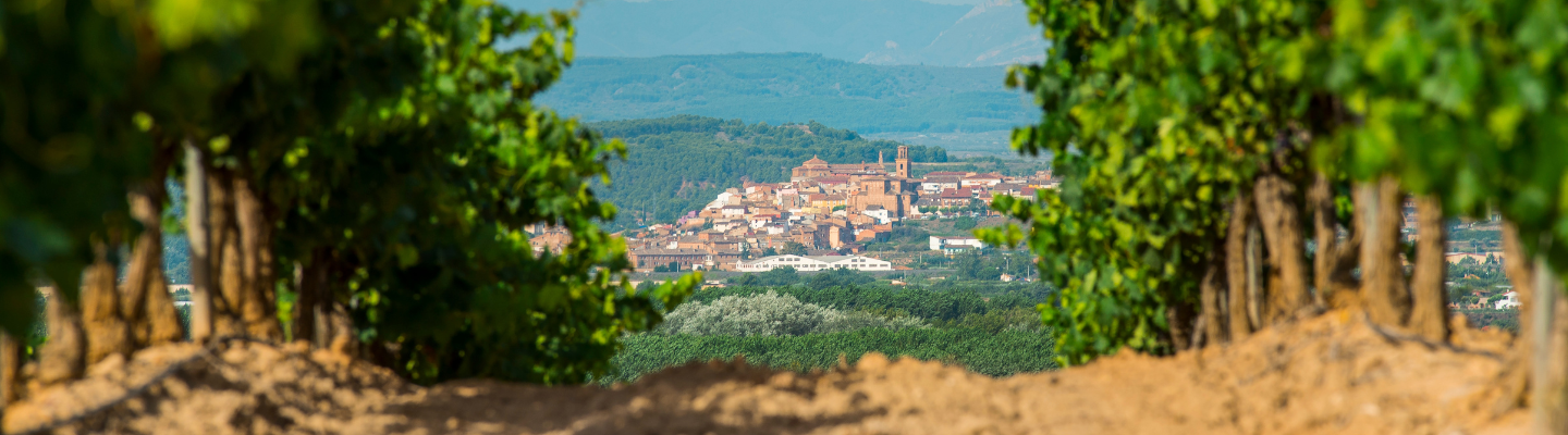 Hola, Rioja! 