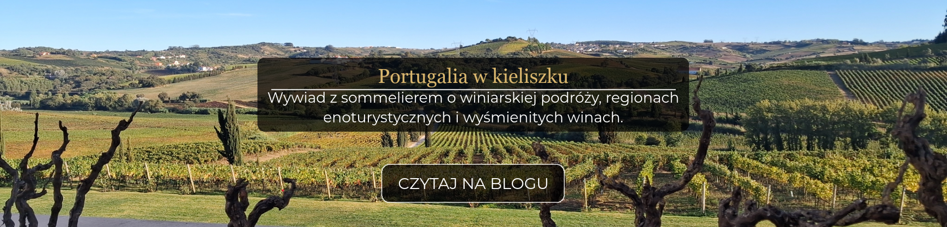 baner desktop_dobry początek roku to muss