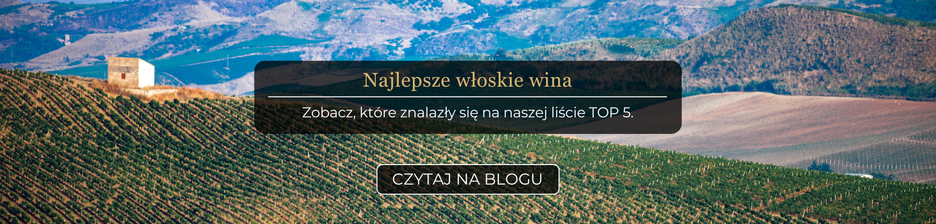 baner desktop_dobry początek roku to muss