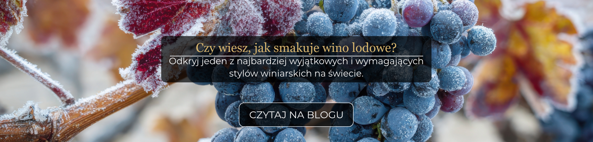 baner desktop_dobry początek roku to muss
