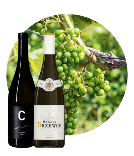 Polski pojedynek na solarisy 