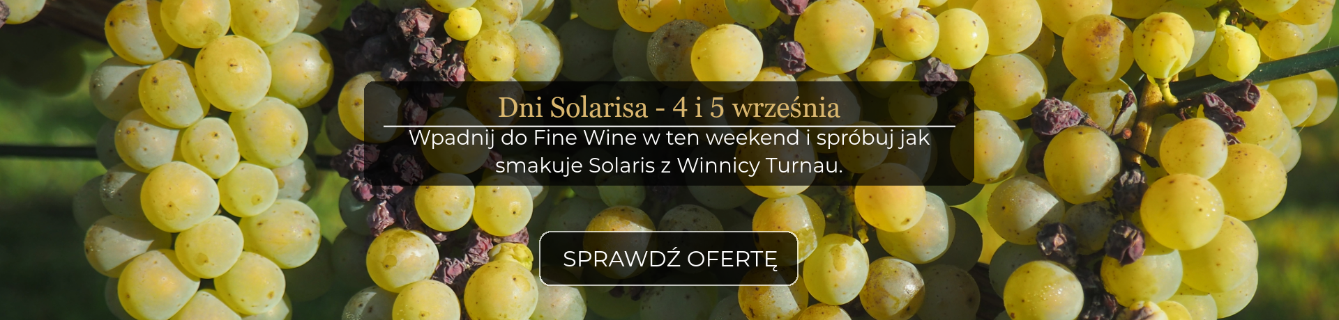 solaris