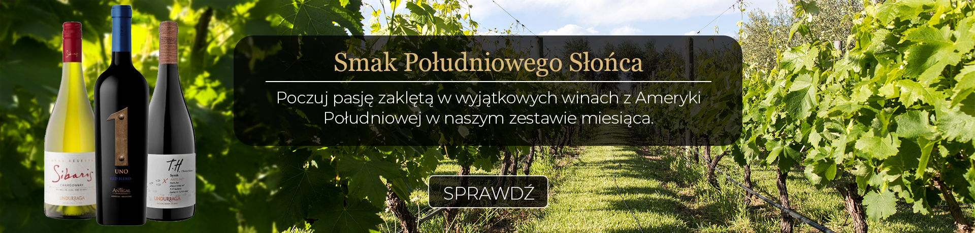 Zestaw miesiąca